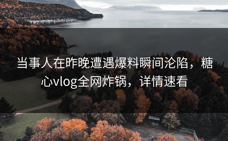 当事人在昨晚遭遇爆料瞬间沦陷，糖心vlog全网炸锅，详情速看