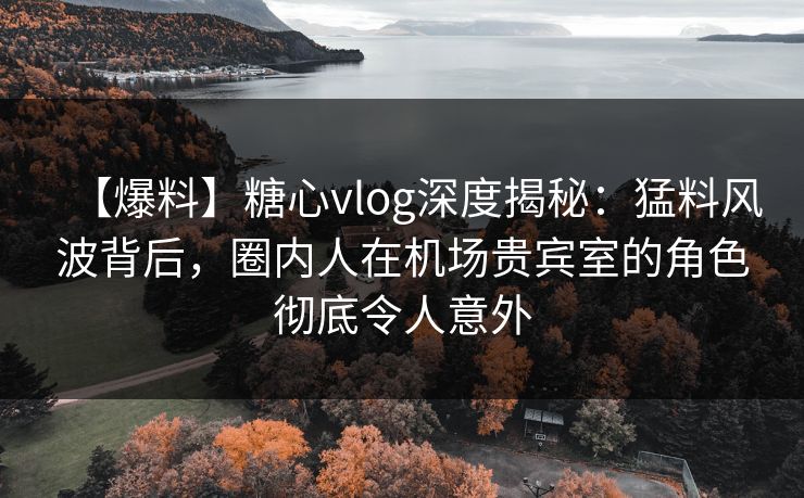 【爆料】糖心vlog深度揭秘:猛料风波背后,圈内人在机场贵宾室的角色彻底令人意外